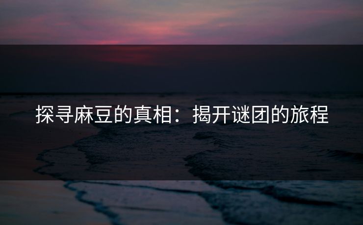探寻麻豆的真相：揭开谜团的旅程  第1张