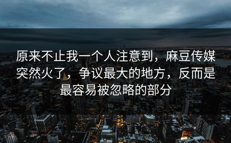 原来不止我一个人注意到，麻豆传媒突然火了，争议最大的地方，反而是最容易被忽略的部分  第1张