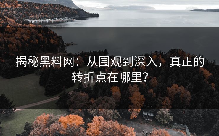 揭秘黑料网:从围观到深入,真正的转折点在哪里? 第1张 揭秘黑料网:从围观到深入,真正的转折点在哪里? 第1张
