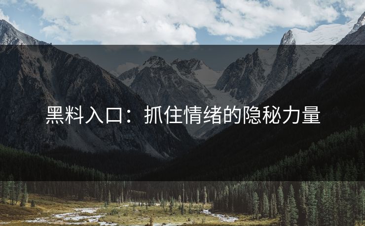 黑料入口:抓住情绪的隐秘力量 第1张 黑料入口:抓住情绪的隐秘力量 第1张
